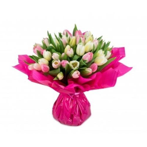 Laure - pink - white tulip (Small 21 psc)